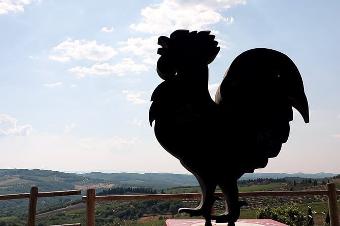 Chianti Hills: App‑Guided e‑Vespa Tour + Lunch in Greve - Who should book this tour?
