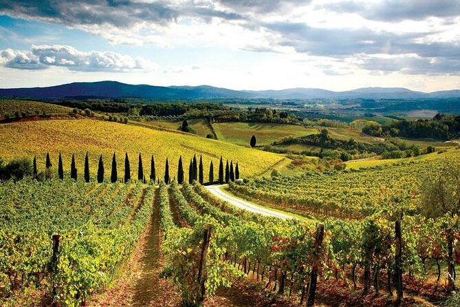 Chianti Vespa Tour - Weather, timing, and group size