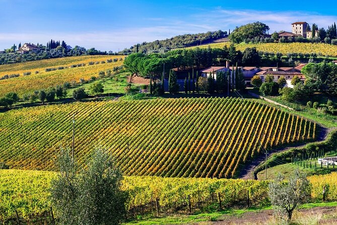 Chianti Vespa Tour - Which kind of visitor should book this?