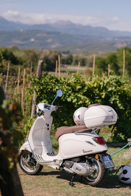 Explore the Rolling Hills of Lucca on a Vespa 125 Primavera - Compitese and the olive oil road