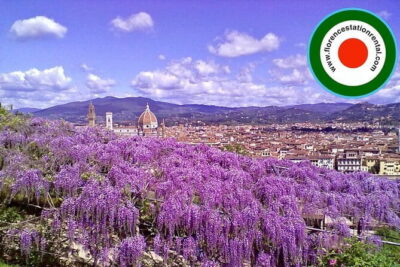 Florence Vespa Rental