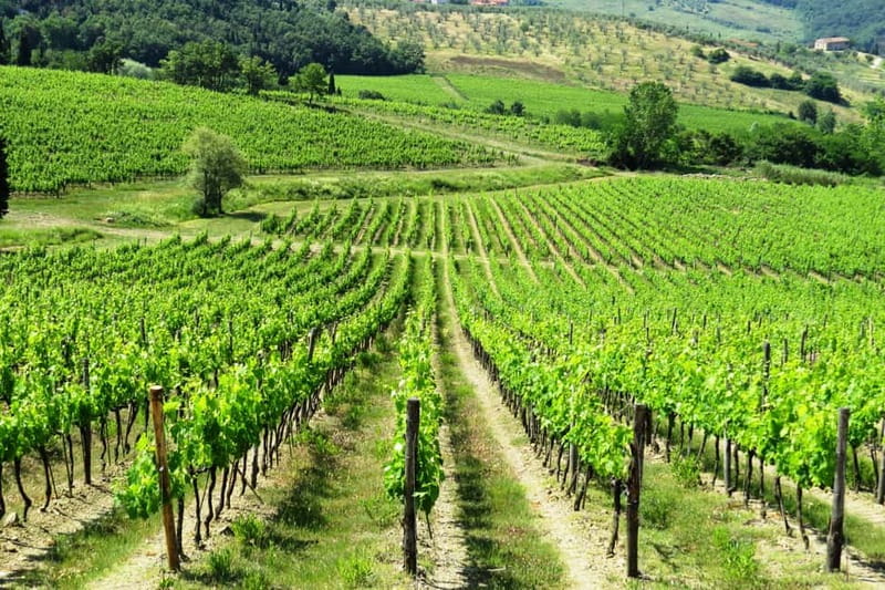 From Florence: Chianti Self-Guided Vespa Tour with Lunch - Leaving Florence for the Chianti hills