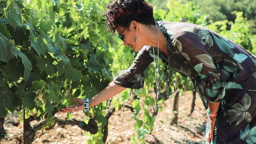 From Florence: Chianti Self-Guided Vespa Tour with Lunch - Is $128 a fair price?