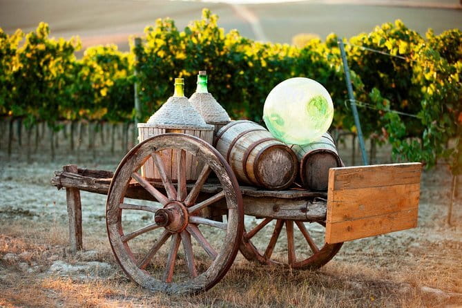 From Florence: Small-Group Tuscany Vespa Tour with Lunch & Wine - Guides, group size, and the human side