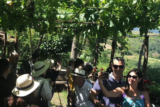 Full-Day Chianti Tour by Vespa Scooter from San Gimignano - Casale dello Sparviero: the day’s longest stop