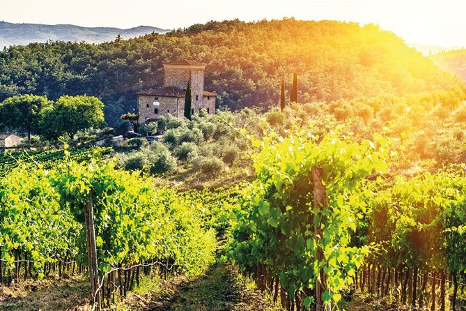 Full-Day Chianti Tour by Vespa Scooter from San Gimignano - Passenger or driver: make the right choice