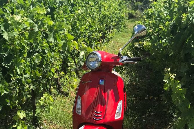 Full-Day Chianti Tour by Vespa Scooter from San Gimignano - Timing, meeting point, and cancellation terms