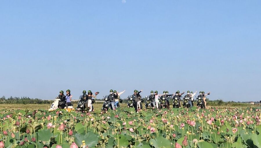 Half Day Exploring Hoi An Countryside in a Vespa - Should you book the Hoi An Vespa countryside tour?
