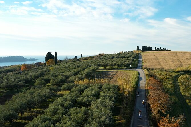 Half Day Vespa Countryside Tour and Tastings in Istria - One Vespa for two: know the arrangement before booking