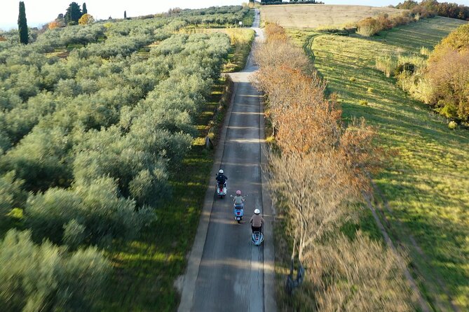 Half Day Vespa Countryside Tour and Tastings in Istria - Padna brings olive oil, village roads, and lunch