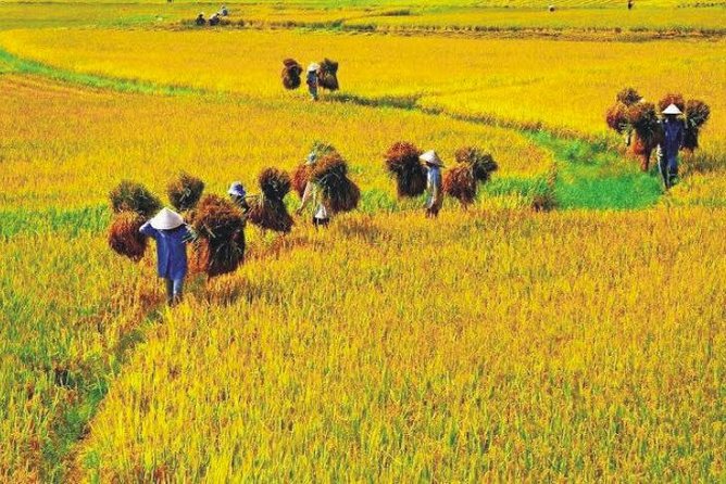 Hanoi Vespa Countryside Tour With Female Ao Dai Riders Half Day - Who will enjoy this ride most?