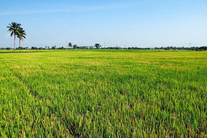 Hanoi Vespa Countryside Tour With Female Ao Dai Riders Half Day - Practical details before you book