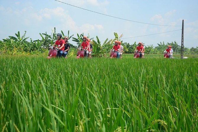 Hanoi Vespa Tours: Hanoi Vintage Vespa Tours Countryside - Hoi Phu and the broom-making tradition