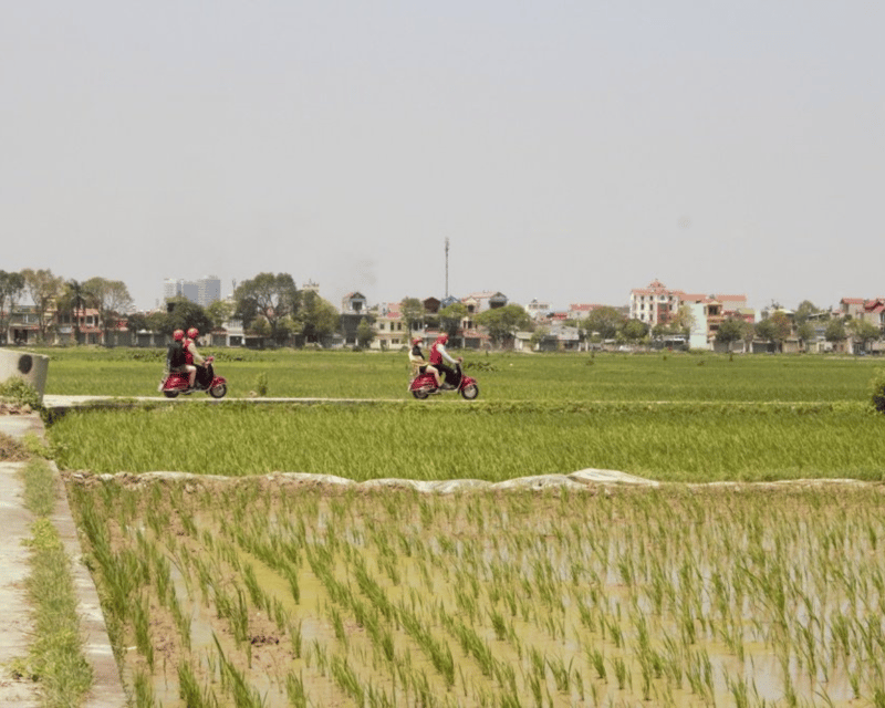 Hanoi Vintage Vespa Tours: A Half-Day Countryside Adventure - Learning the patient art of bonsai