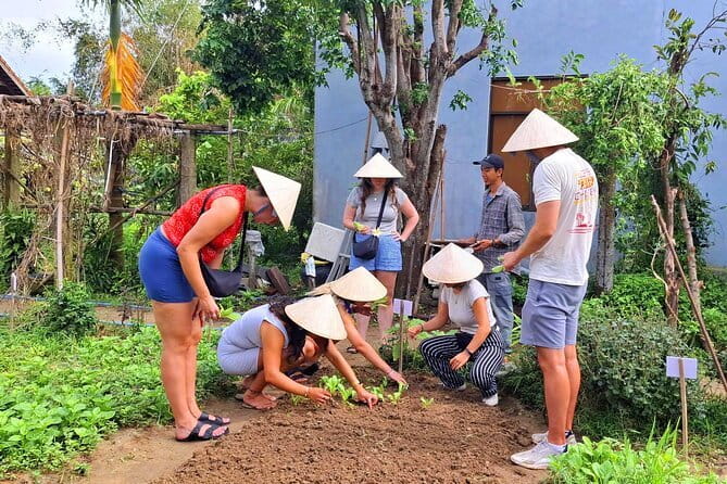 Hoi An Cooking Class & Vespa Cooking Adventure Tour - Lunch is the payoff, not an afterthought