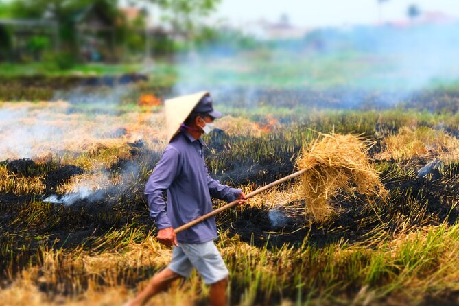 Hoi An Countryside Vespa Tour: Food, Culture & Daily Life - Who will enjoy this Vespa tour most