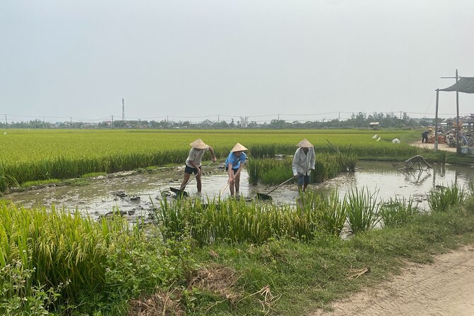 Hoi An Countryside Vespa Tour: Food, Culture & Daily Life - Should you book it?