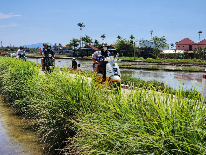Hoi An Highlights and Hidden Gems Tour by Vespa - Who should choose this Vespa tour?