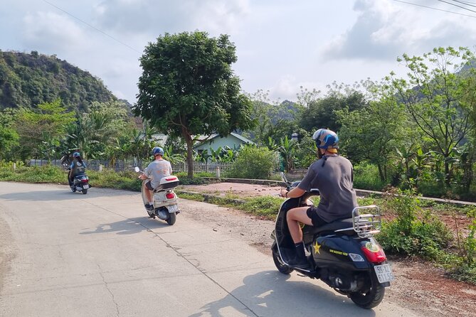 Ninh Binh Jeep/Vespa Tours: Highlights & Hidden Gems - Quiet villages, livestock, and a secret cave