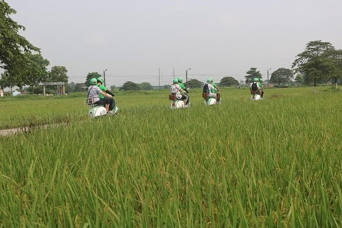 Ninh Binh Vespa Start from Hanoi + Boat + Villages +Rice Paddies - Who will enjoy this day most