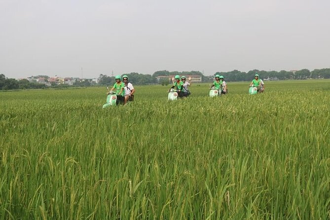 Ninh Binh Vespa Start from Hanoi + Boat + Villages +Rice Paddies - Practical details that affect the day