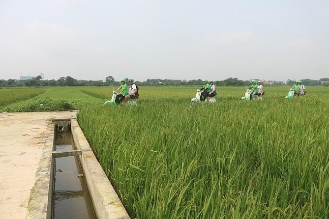 Ninh Binh Vespa Start from Hanoi + Boat + Villages +Rice Paddies - Climbing the 500 steps at Mua Cave