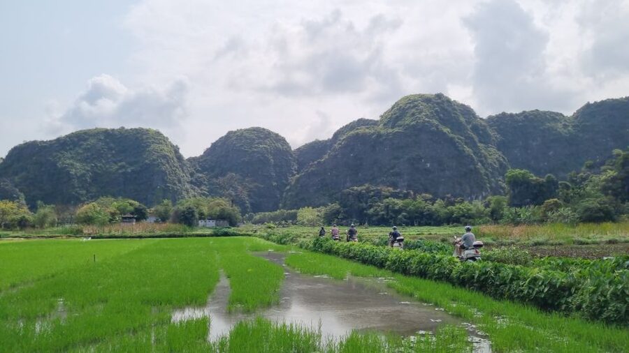 Ninh Binh Vespa Tours from Hanoi: Vespa + Boat + Daily Life - Why the 7 AM start matters in Ninh Binh