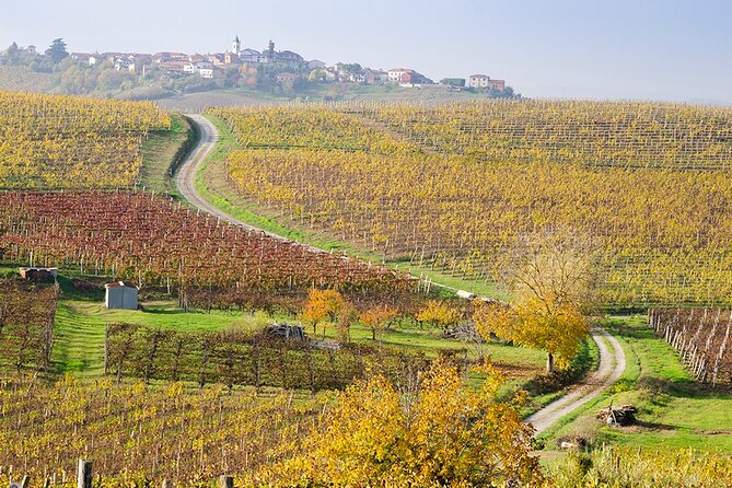 Private Vespa Tour "Among the hills of Barolo and Barbaresco" - La Morra for the big view