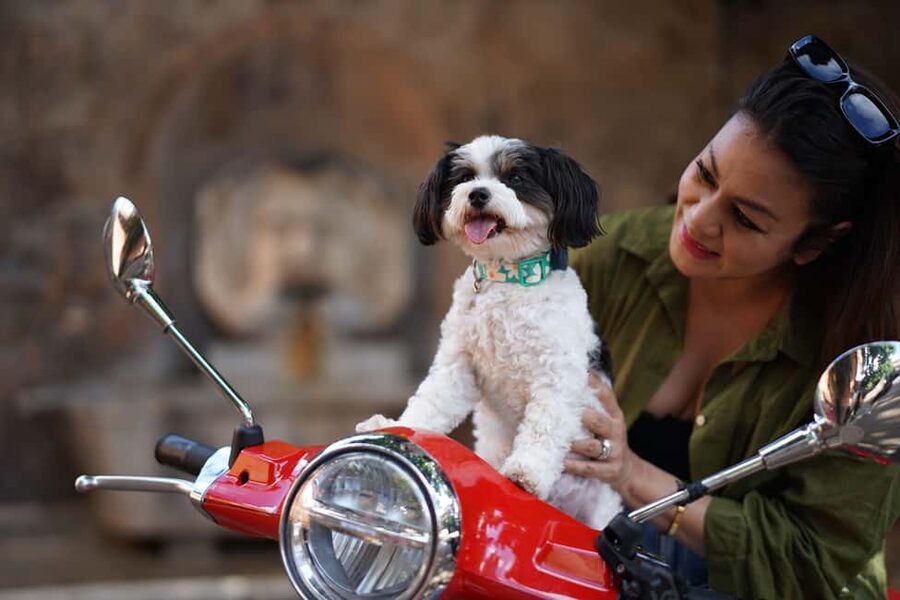 Rome: Guided Vespa Experience with Professional Photoshoot - Should you book the Rome Vespa experience?