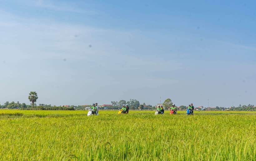 Siem Reap Countryside Sunset Vespa Tour or Tuk Tuk - What the $24 price really covers