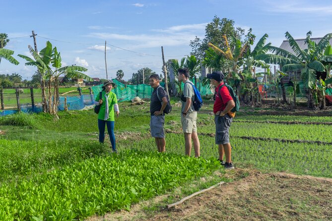 Siem Reap Countryside Sunset Vespa Tour / Tuk Tuk Available - Wat Po Banteaychey and the farm route