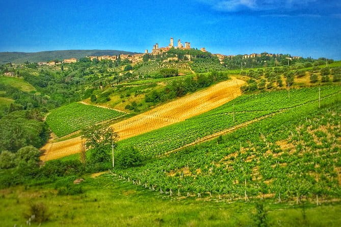 Tuscany Vespa Tour from Florence with Wine Tasting - Practical advice for a smoother ride