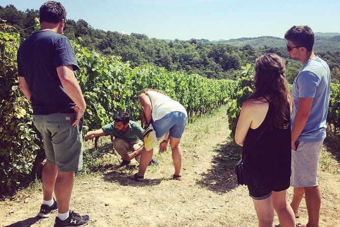 Tuscany Vespa Tours Through the Hills of Chianti - A few practical details that matter
