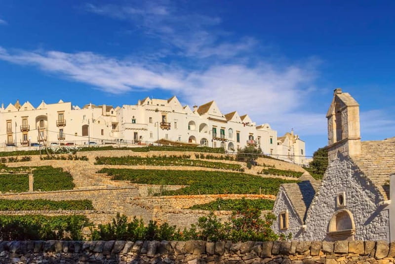 Vespa scenic tour: Trulli and Countryside with tastings in Itria Valley - Key points to know before you book