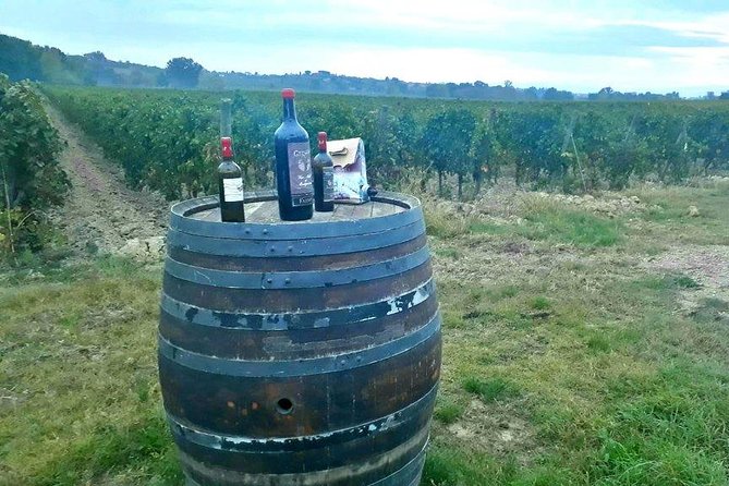 Vespa Tour with Lunch&Chianti Winery from Siena - Who will enjoy this most